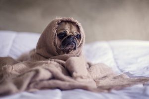 モチベーションを下げる人の特徴・対策を知ろう！