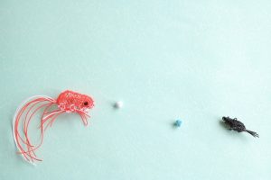 【暑中見舞い】言葉にコトダマを宿す【残暑見舞い】