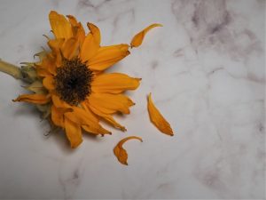ネガティブ脳をポジティブ脳に切り替える3つの方法