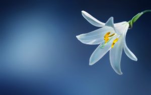 エンジェルナンバー「38」の意味とは？天使はあなたに何を告げようとしているのか？