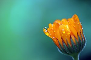 エンジェルナンバー「39」の意味とは？天使はあなたに何を告げようとしているのか？
