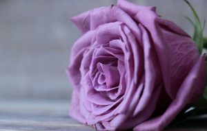 エンジェルナンバー「41」の意味とは？天使はあなたに何を告げようとしているのか？