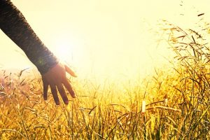 「泣く」ことでストレス解消♪星座別・泣きポイントを解説！