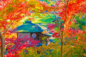 神無月に神様がいなくなるって本当？身近な留守神も紹介！