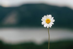 エンジェルナンバー「44」の意味とは？天使はあなたに何を告げようとしているのか？