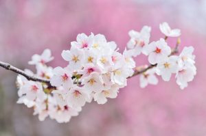 エンジェルナンバー「46」の意味とは？天使はあなたに何を告げようとしているのか？