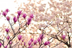 エンジェルナンバー「51」の意味とは？天使はあなたに何を告げようとしているのか？